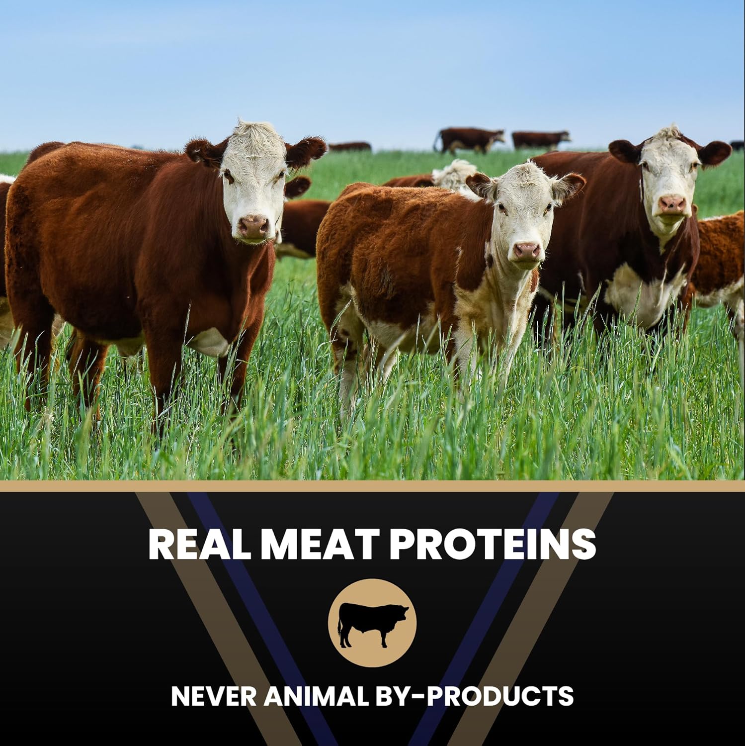 VICTOR Super Premium Dog Food – Select Beef Meal & Brown Rice Formula for Immune and Gut Health – Gluten-Free Beef Meal Dry Dog Food for All Normally Active Dogs of All Life Stages, 40 lbs