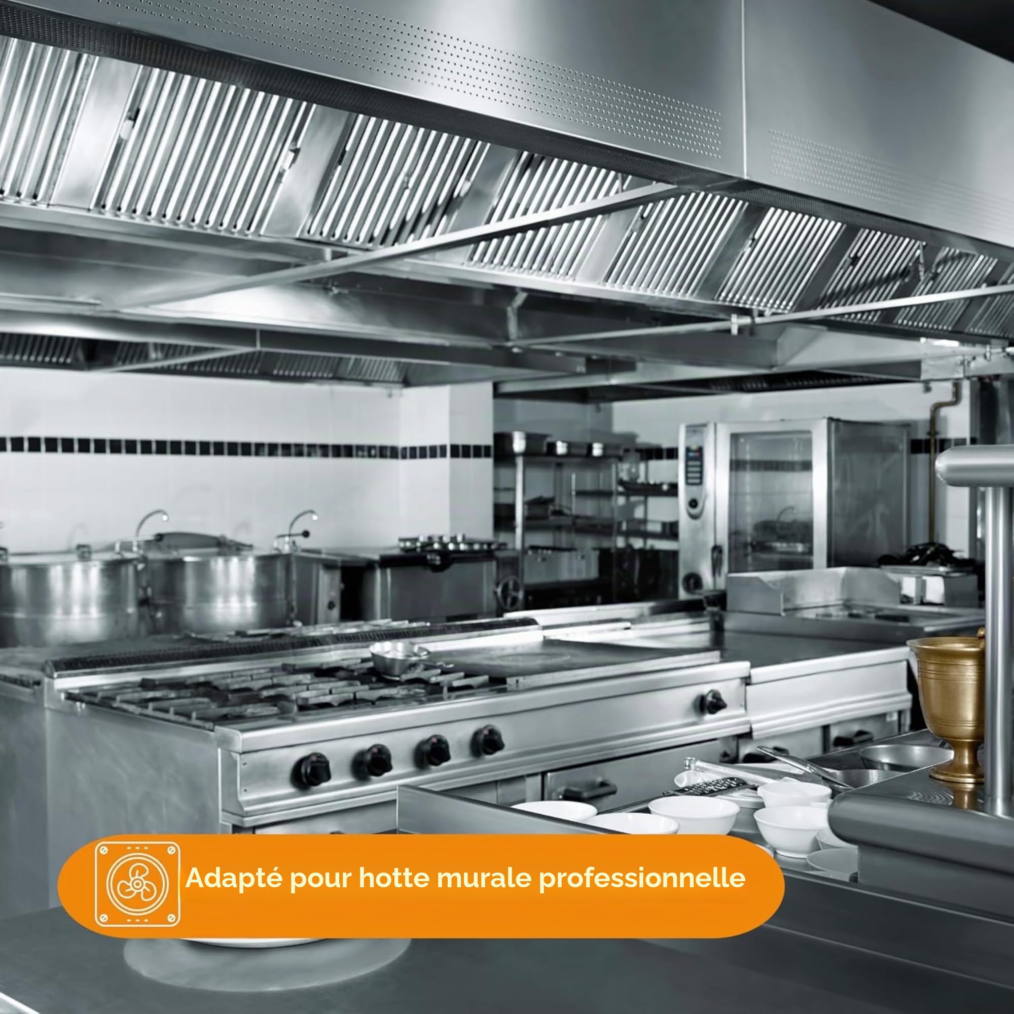REM 10 Régulateur de Vitesse 2200W avec Boîtier Plastique - Contrôle Variable pour Hottes & Ventilateurs - Montage Mural IP54 pour Cuisines Professionnelles - Made in Germany