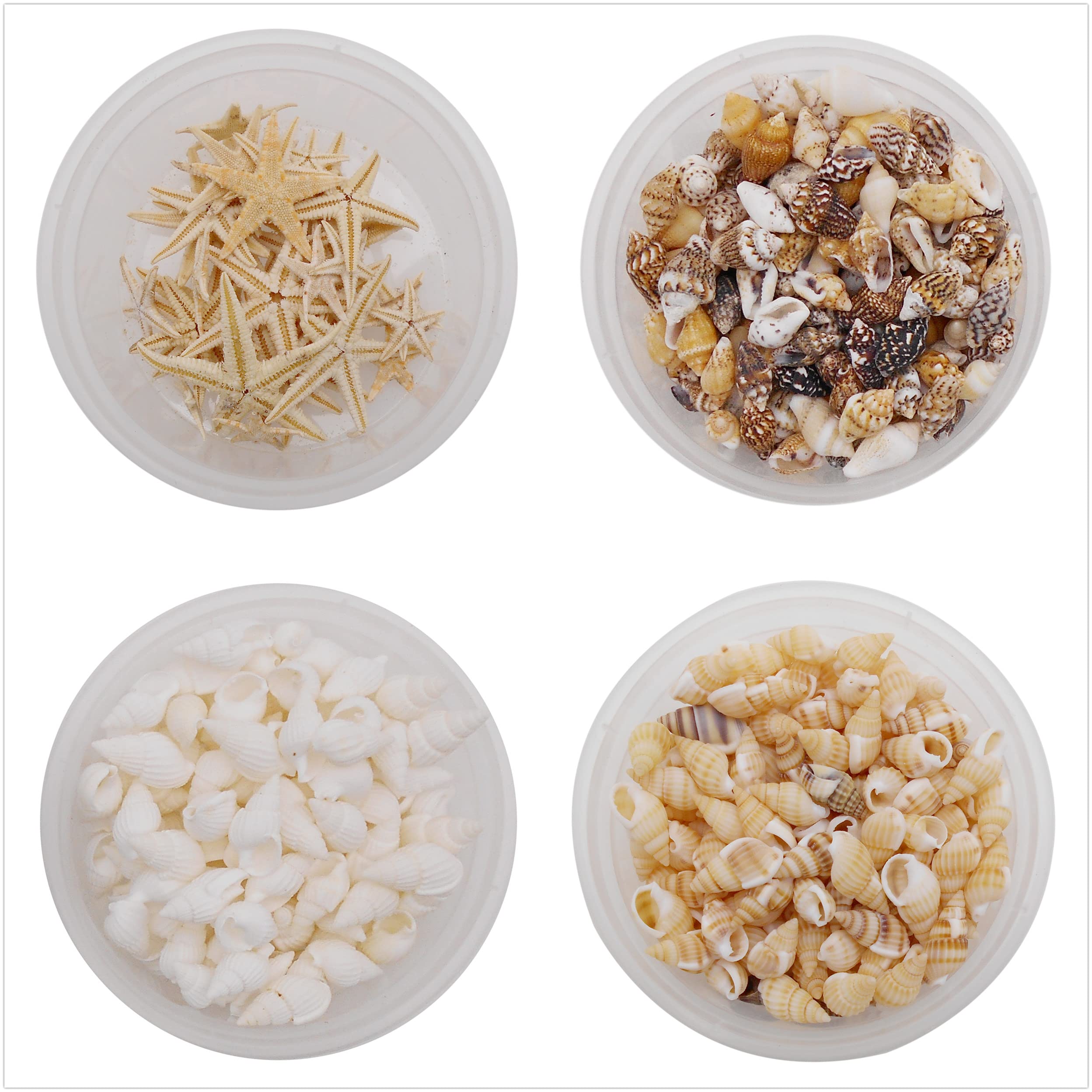 yaokan 510pcs Mixed Tiny Sea Shell Starfish Ocean Beach Spiral Seashells for Resin Craft Candle Making Wishing Bottle Wedding Home Decoration Fish Tank