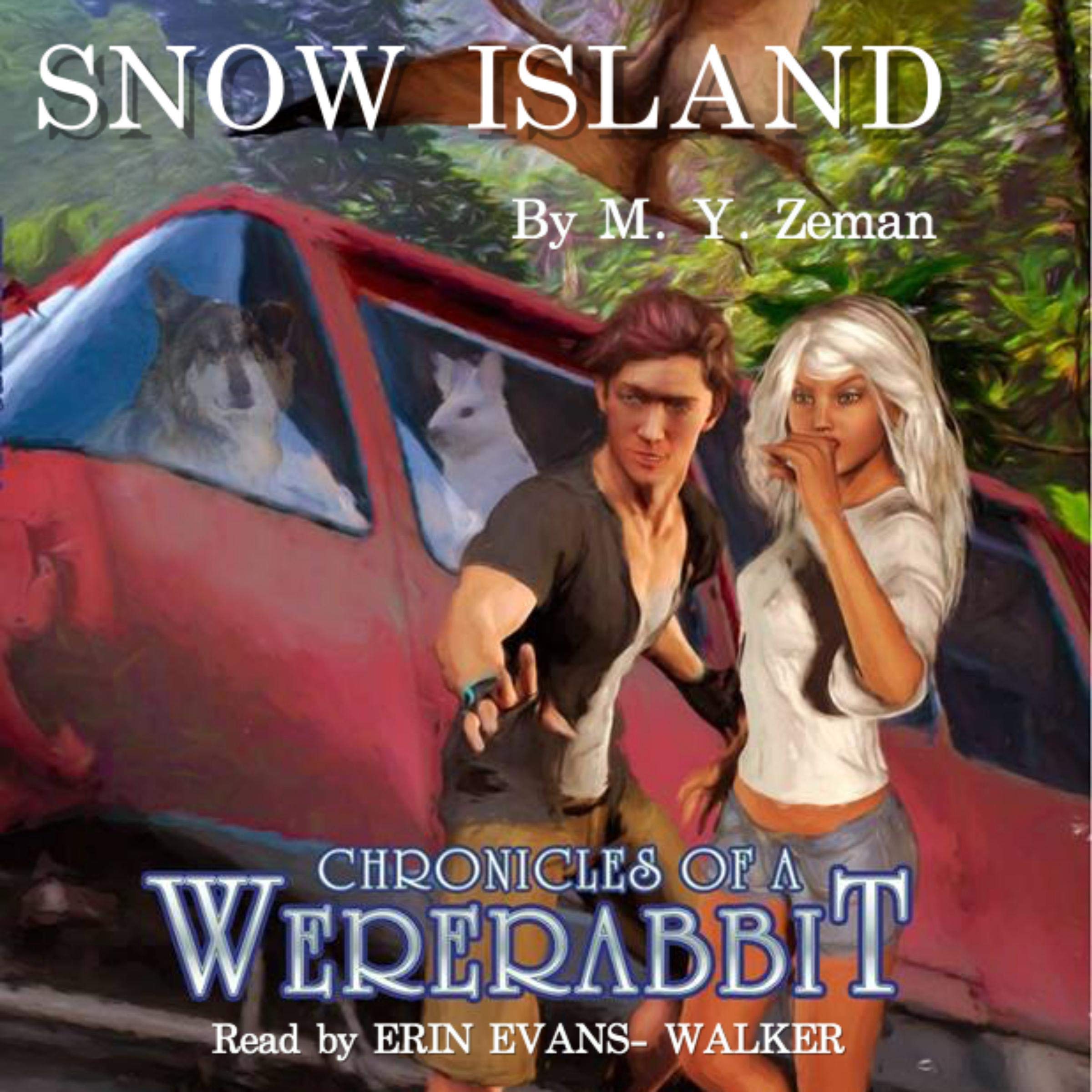 Cover art for Snow Island