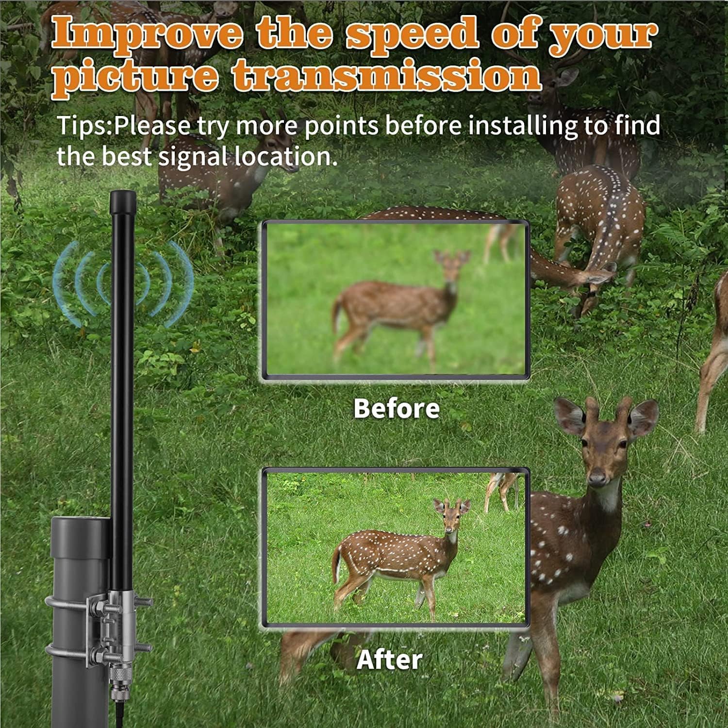 10dBi Outdoor 4G LTE Long Range Cellular Trail Camera Antenna with 20ft Cable for Spypoint Flex Flex-M Link Micro Link EVO Stealth Cam Tactacam Reveal X PRO Gen 2.0/3.0 Muddy Trail Camera