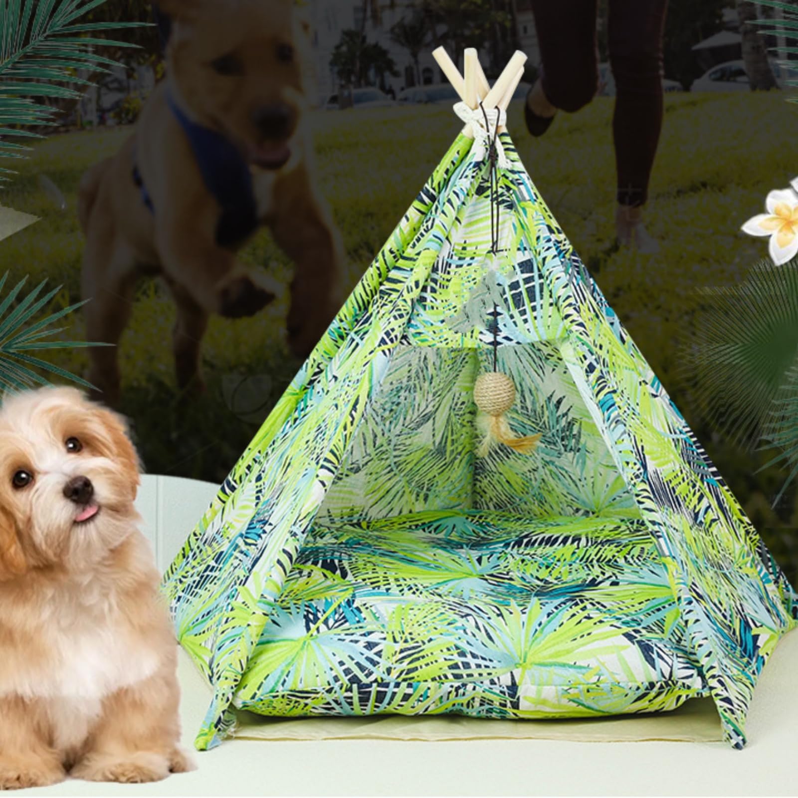 Pet Tipi Tente Portable Portable Amovible Lavable Maison De Chien House Intérieure Maison avec Coussin Et Lit De Chien À Tableau Noir pour Chats Et Chiens