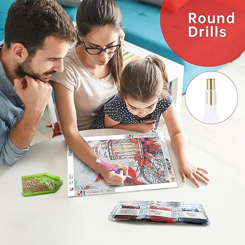 Miniatura 6 de Yikenjoy Kits de arte de diamantes cardenales para adultos, kit de pintura de diamante 5D para principiantes, taladro completo, pájaro rojo, nieve,
