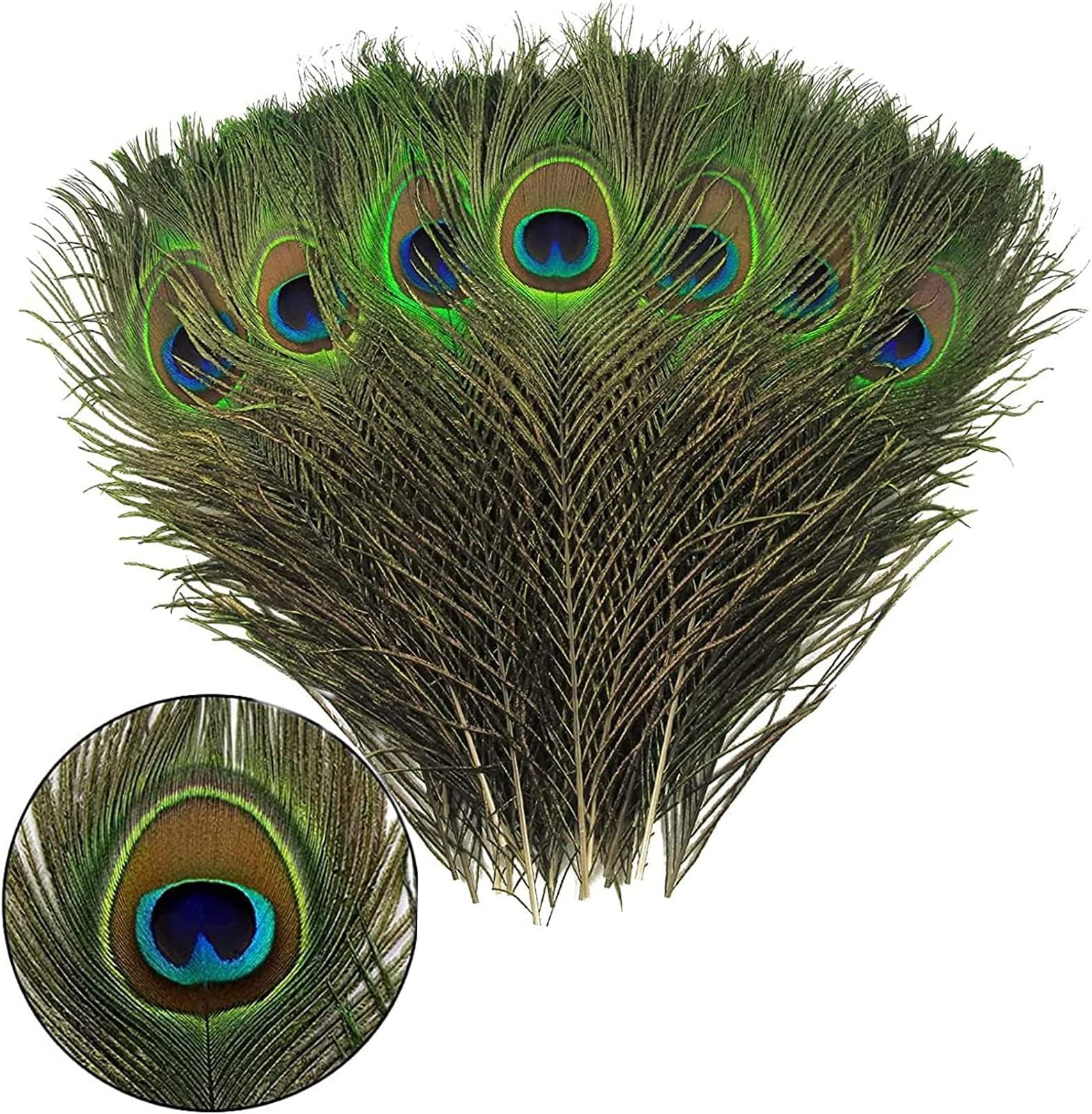 JEOPKO 15Pcs Peacock Feathers, Natural Large Feathers Long, Peacock Tail Feather for Wedding, Christmas Party Decoration, Vase Decoration Feathers, Peacock Costume, DIY Art & Craft.