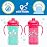 Dr. Brown\'s Milestones Insulated Hard Spout Sippy, Spill Proof Cup with Handles for Toddlers, 2-Pack, Pink, 10 oz/300 mL, BPA Free, 12m+