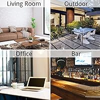 Vista 7 de Cenicero, Cenicero Grande para Exteriores con Tapa, Cenicero para Patio Exterior, de Acero Inoxidable, Resistente al Viento, Sin Humo, para Balcón