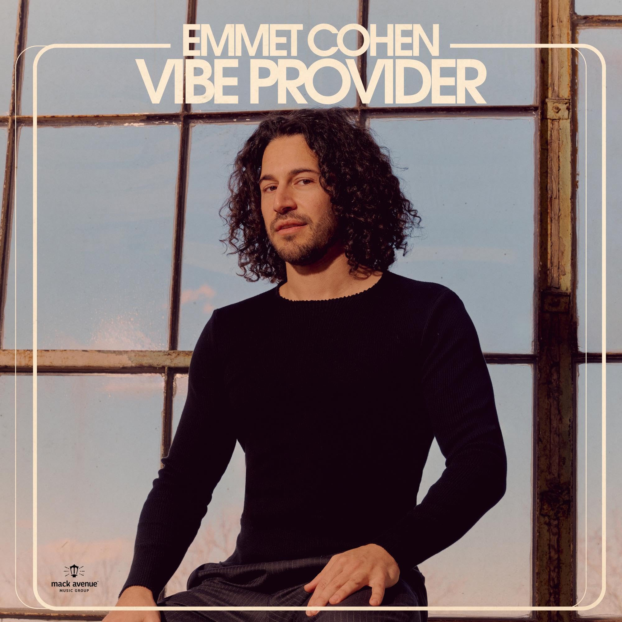 Vibe Provider [VINYL]