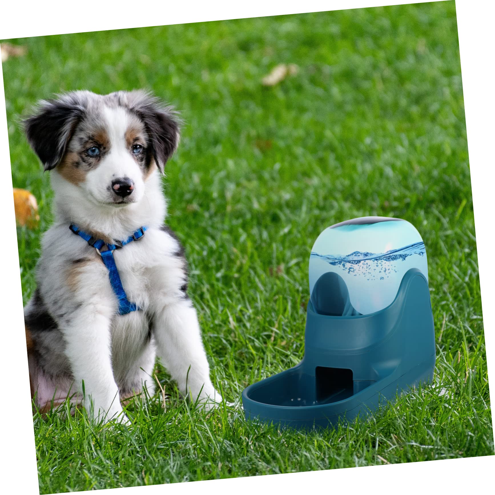 Bebedero Automático para Gatos y Mascotas 3, 8 L Verde | Plástico Desmontable, Dispensación Automática de Agua, Diseño Simple para Casa