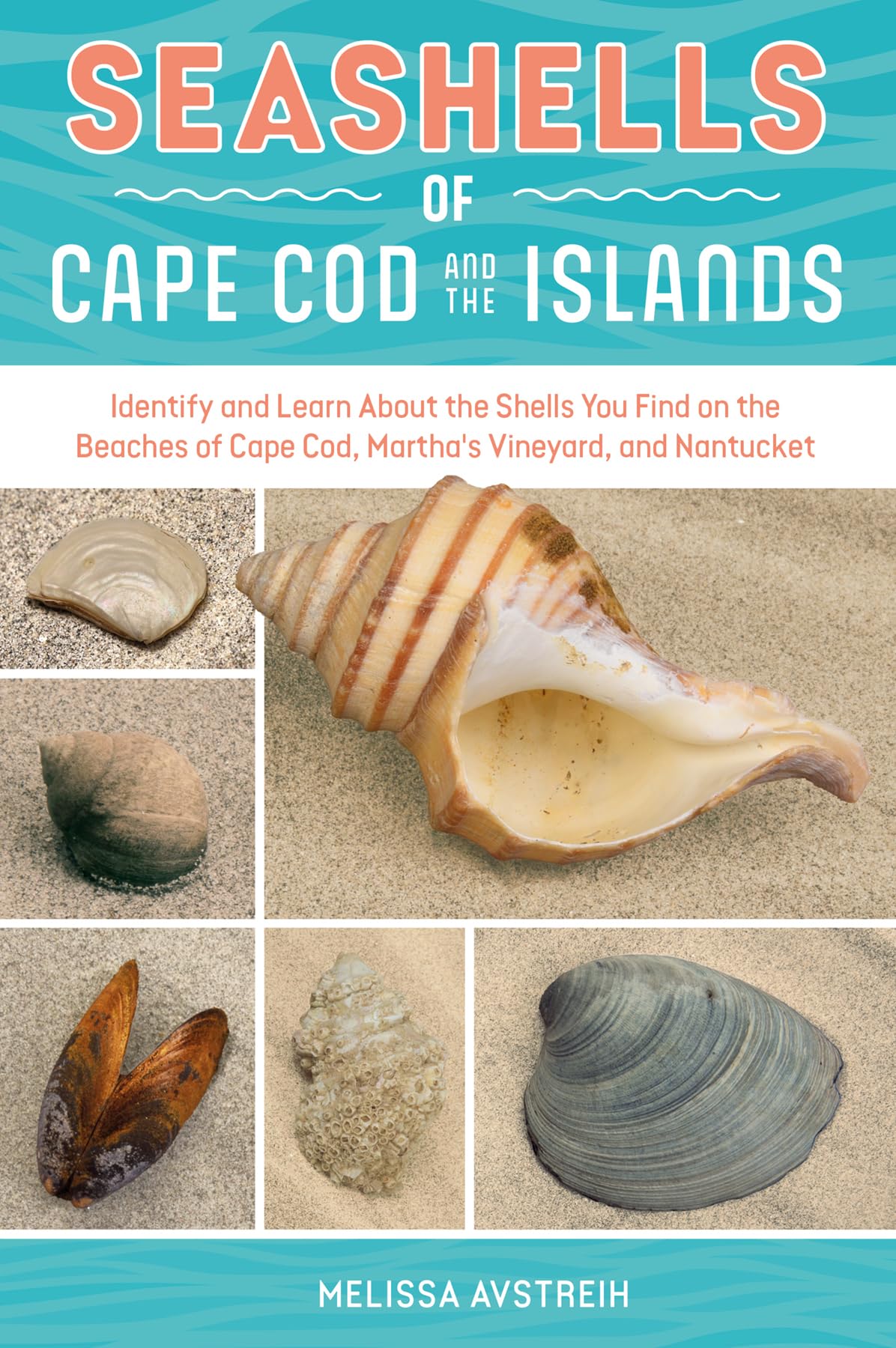 Seashells of Cape Cod & the Islands: Identify and Learn about the Shells You Find on the Beaches of Cape Cod, Martha's Vineyard, and Nantucket: 3 ... Seashells: Handy User Guides with Photos, 3)