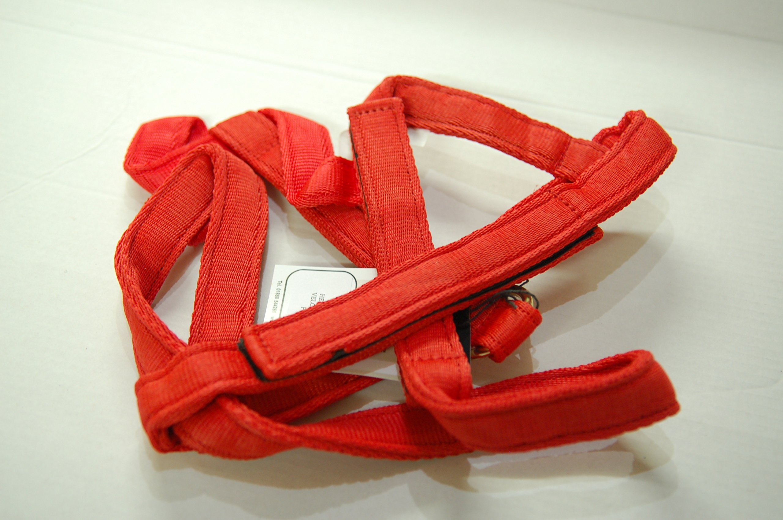 IV Horse Pony Safety Turnout Headcollar (Red) โ image 1