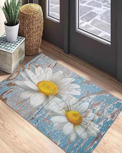 Miniatura 5 de Tapete para puerta delantera, antideslizante, absorbente, para entrada, para interiores y exteriores, alfombras pequeñas para interiores y