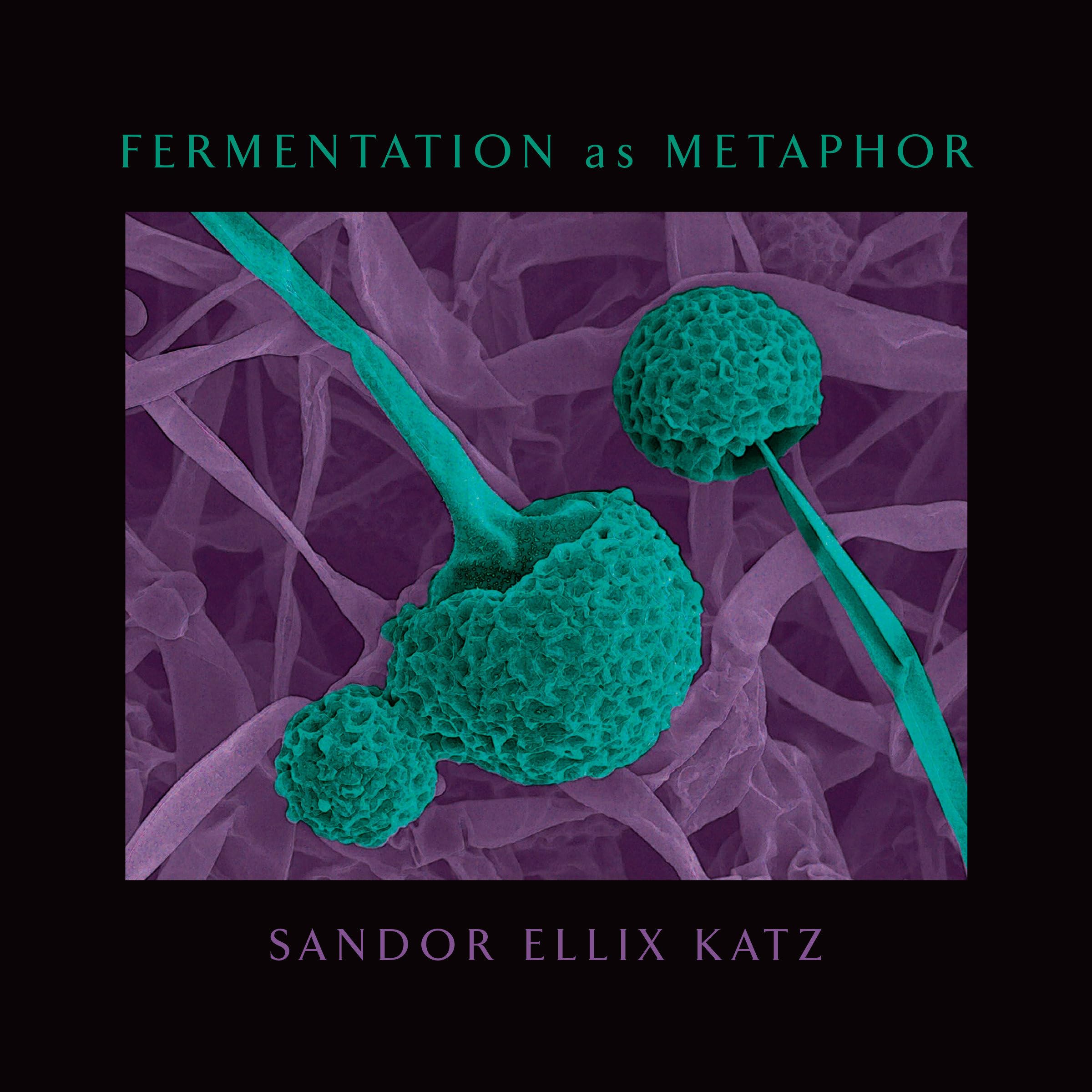 Fermentation as Metaphor: From the Author of the Bestselling The Art of Fermentation