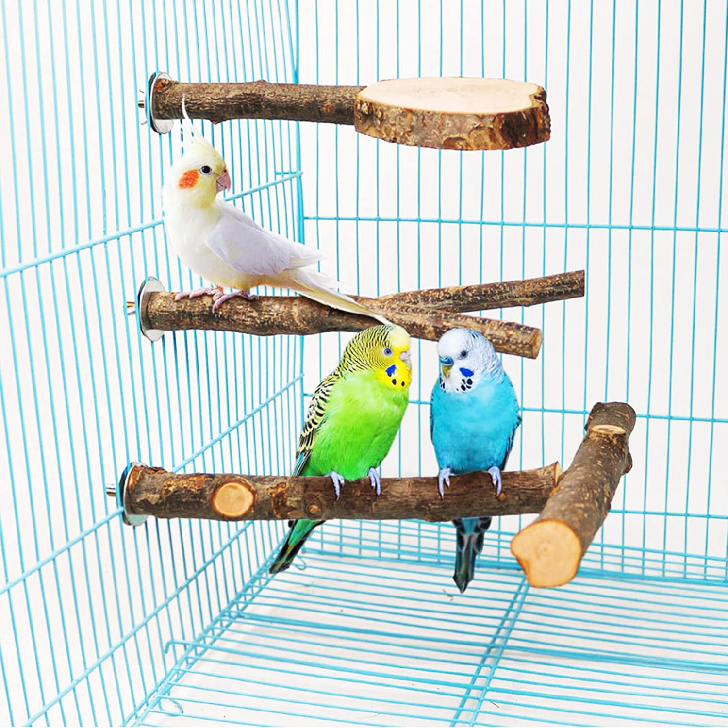 6 Pz Posatoi per Uccelli, Posatoi in Legno Posatoio per Pappagalli per Posatoi Legno per Pappagalli, Posatoi per Uccelli Legno Naturale, per African Parrot Birds