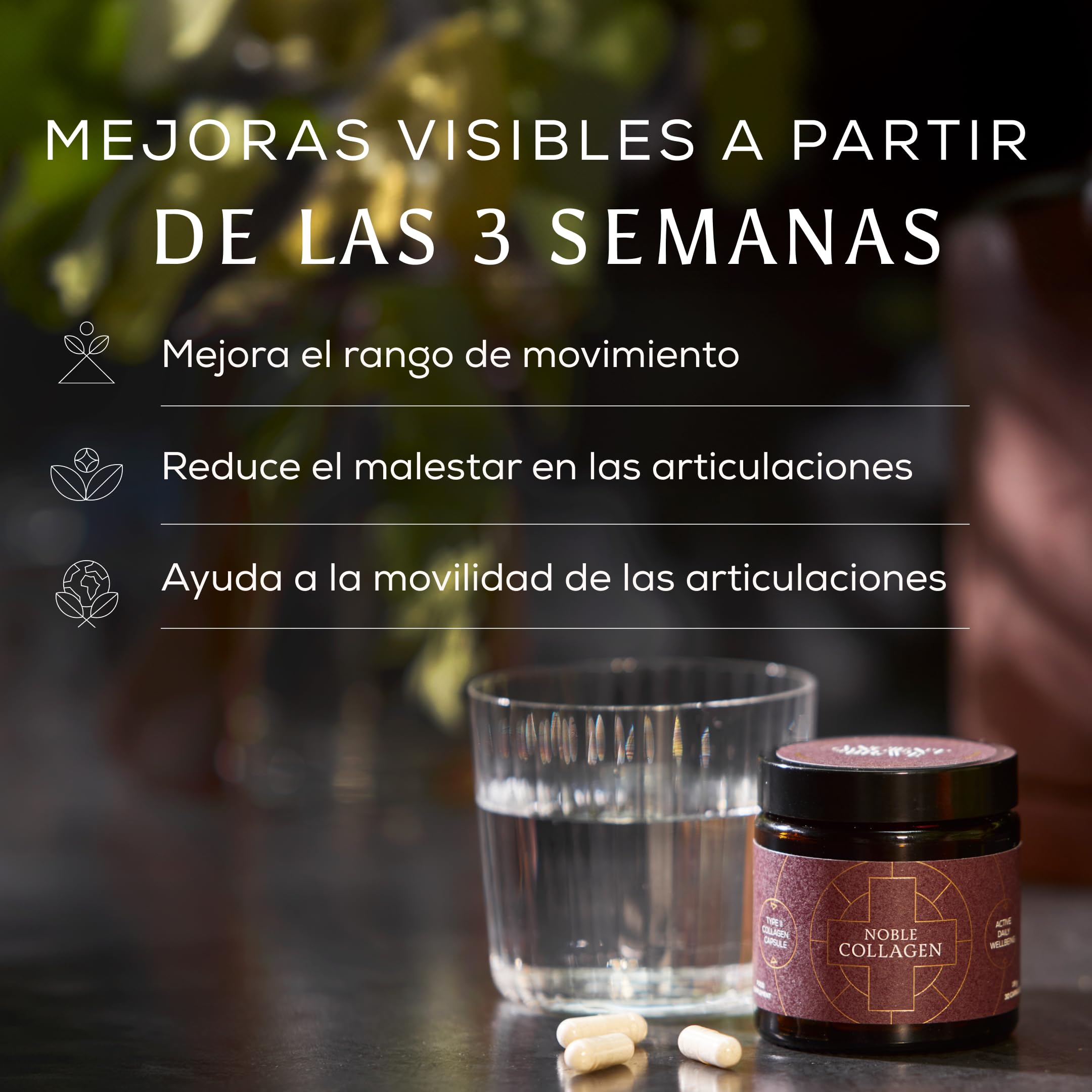 Ancient + Brave Noble Collagen | 30 Cápsulas | 30 Días | Colágeno Tipo II | Colágeno Tipo II con Vitamina C, Boswellia Serrata y Manganeso, clave para articulaciones y movilidad. Libre de gluten y soja