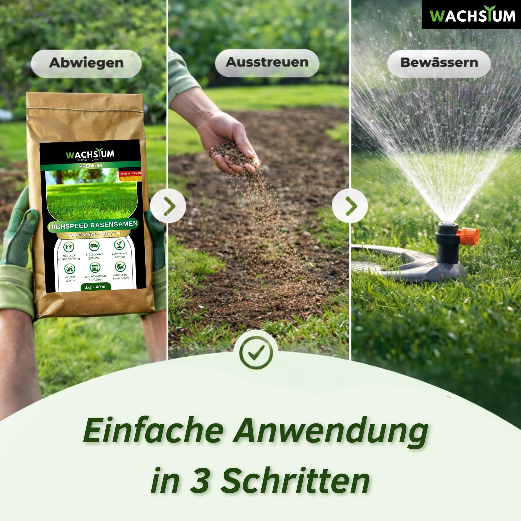 Rasensamen schnellkeimend 1kg 40qm – Frühjahr und Sommer Premium Grassamen Nachsaat, dichter strapazierfähiger Rasen, Mähroboter geeignet – kräftiges Wachstum, RSM Qualität, - 2