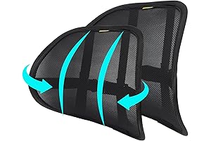 Adjustable Saddle Chair With Back Support