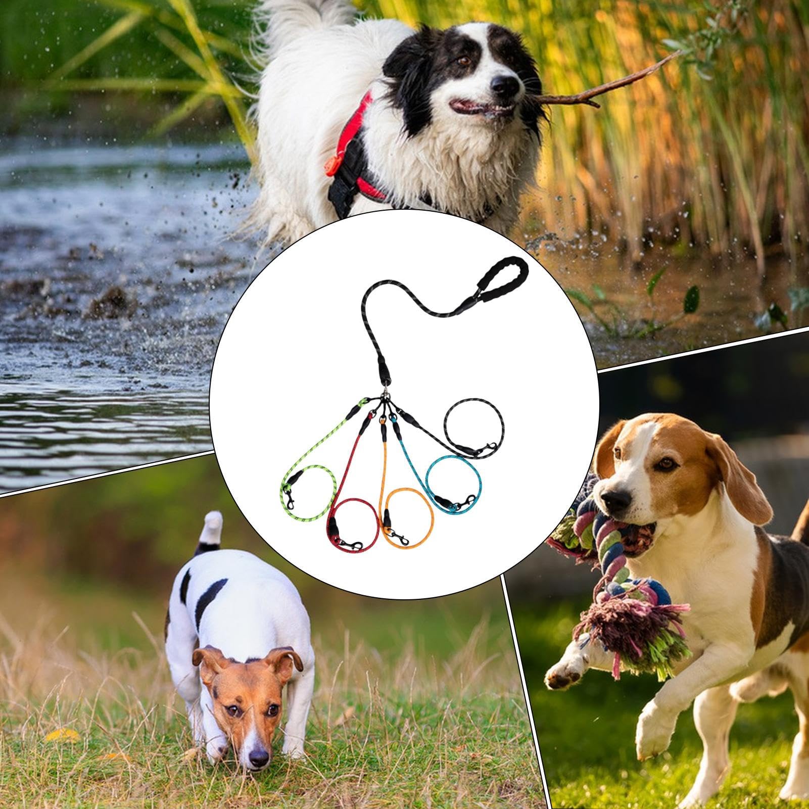 Corda Per Addestramento Cani Guinzaglio con Impugnatura Imbottita