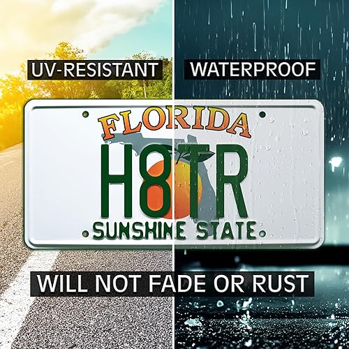 Miniatura 4 de 2 Fast 2 Furious  H8TR  Placa de matrícula estampada de metal