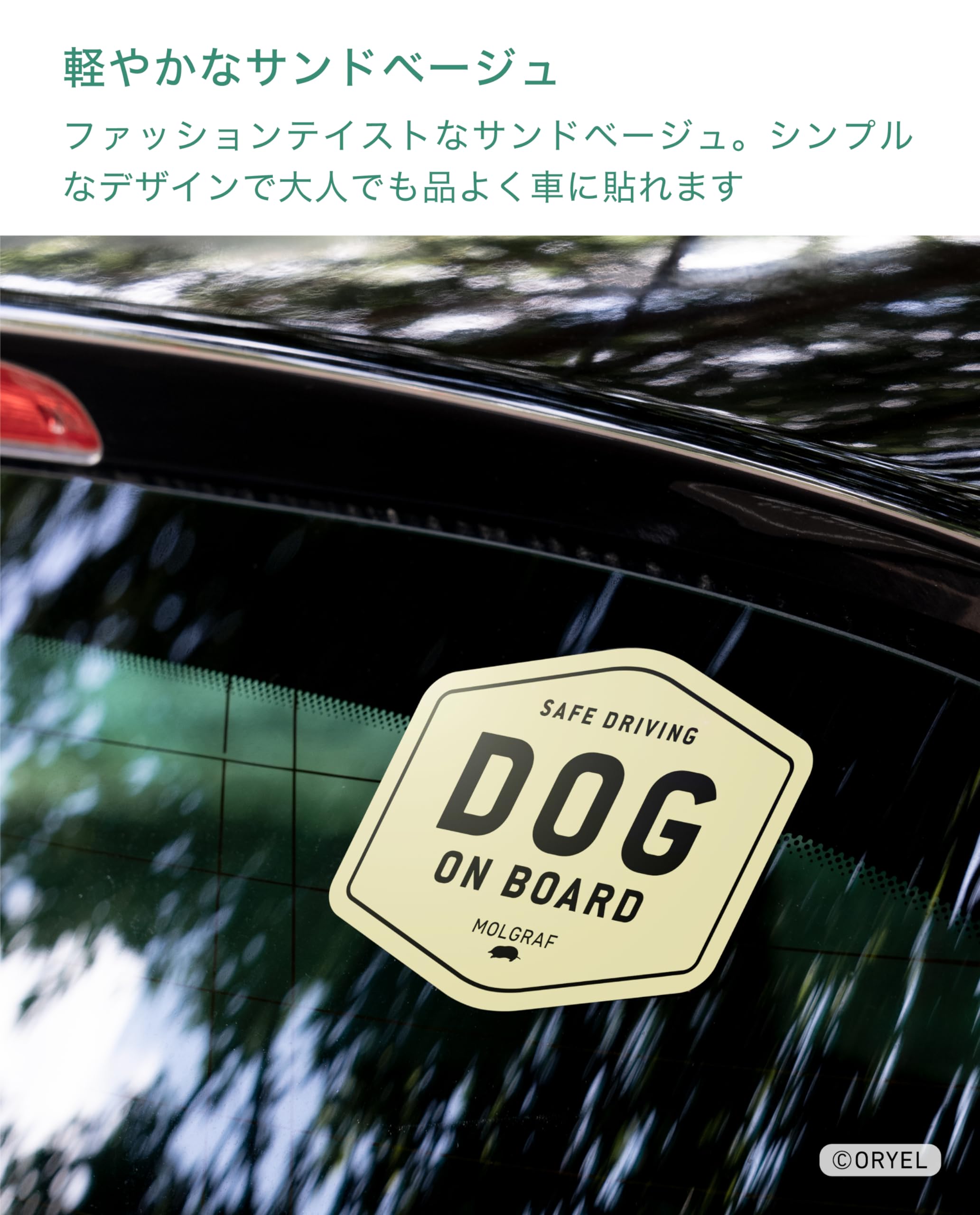 Amazon.co.jp: [MOLGRAF] DOG ON BOARD ステッカー (DOG in CAR