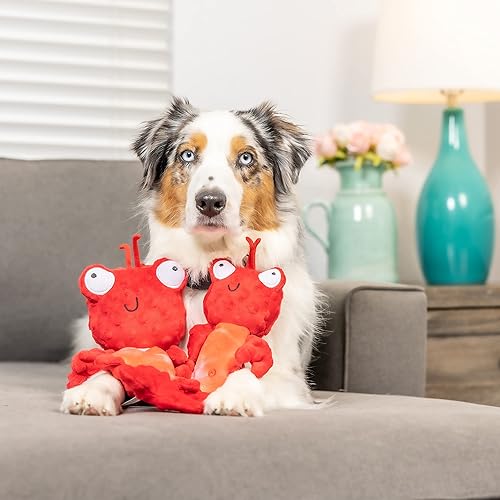 Miniatura 6 de Huxley & Kent Slappies para perros  Claude langosta (pequeño)  Juguete para perro chirriante y sacudido  Juguete chirriante sin cosas, pelota TPR en