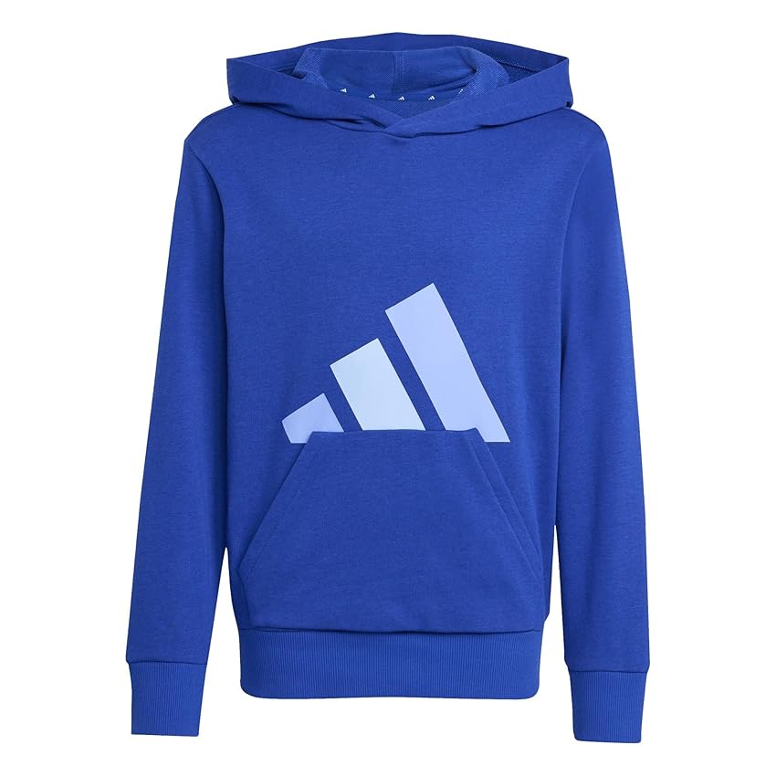 adidas Mixte Enfant Essentials Big Logo Hoodie, Team Royal Blue/Blue Fusion/Glow Blue, 13-14 Years