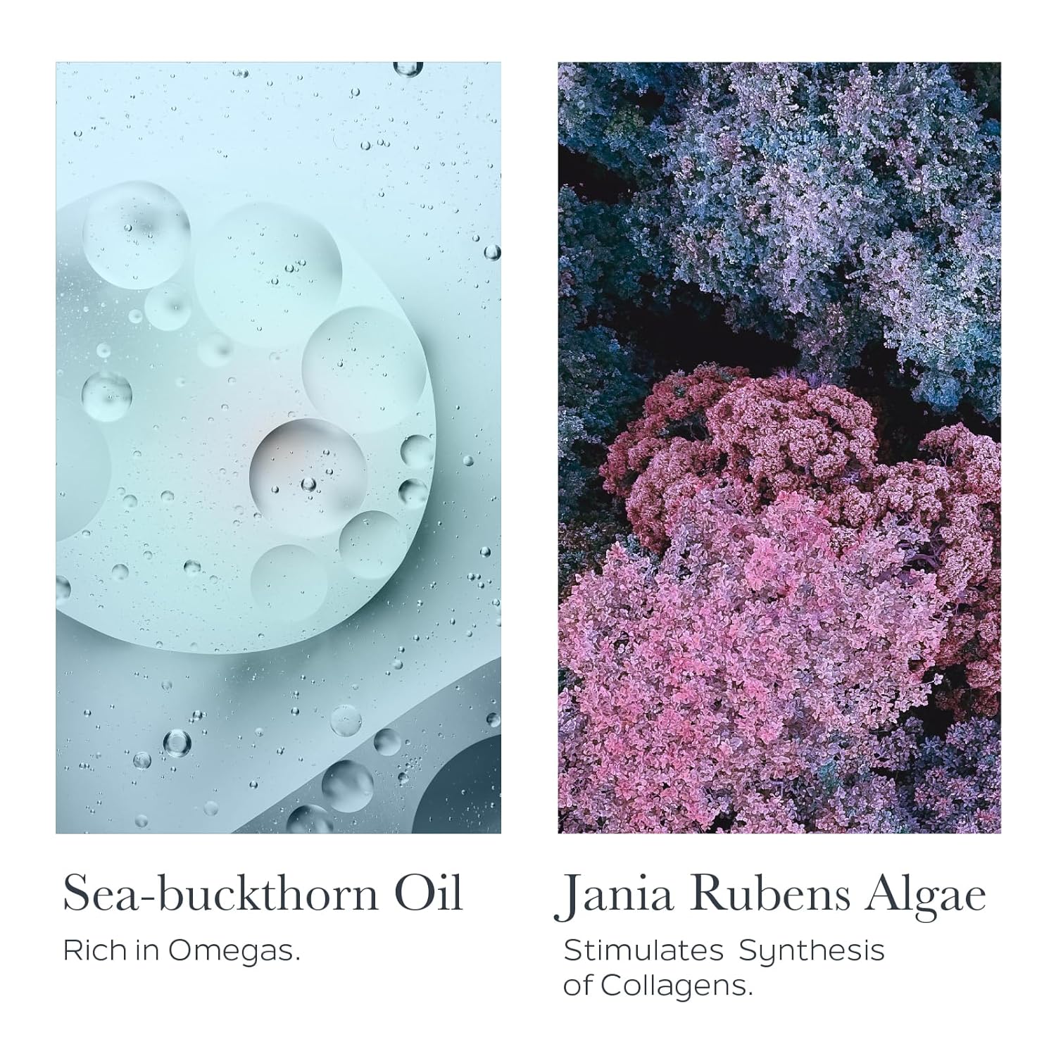 SOTHYS Renovative Night Cream | Collagen Infused Anti Aging Face Moisturizer for Wrinkles - Image 3