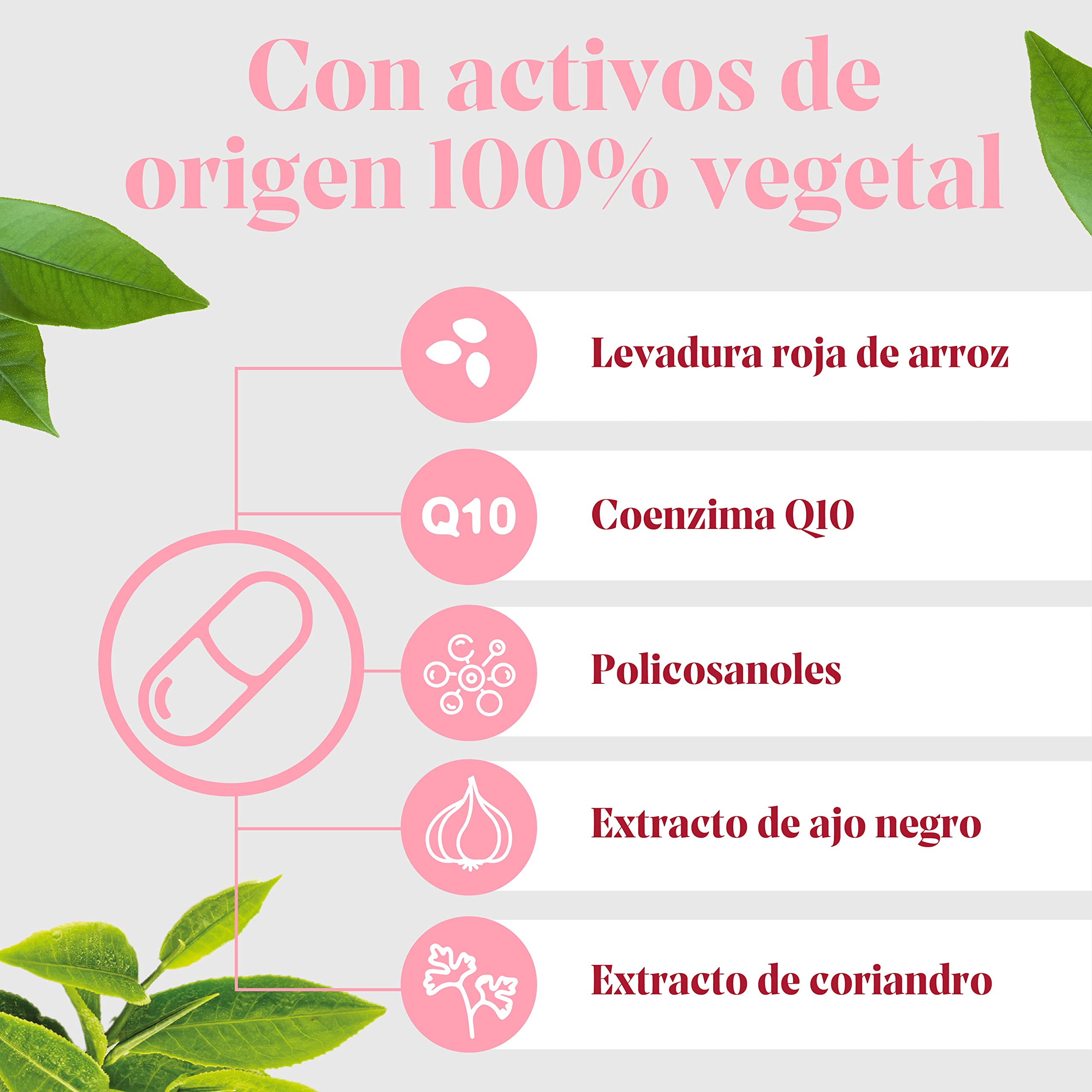Arkopharma - Arkosterol Plus, Pack 2 x 30 Cápsulas, Complemento Alimenticio para Colesterol, Coenzima Q10 + Policosanoles, con Levadura Roja de Arroz y Ajo Negro, Fórmula Vegetal, Apto para Veganos