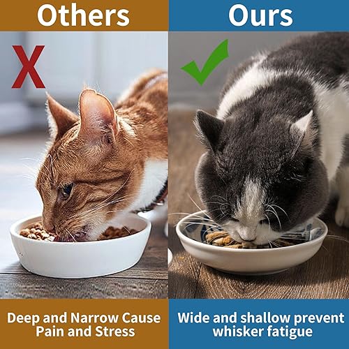 Miniatura 7 de 3 cuencos de cerámica para gatos, 5.5 pulgadas de ancho poco profundo para aliviar la fatiga de los bigotes