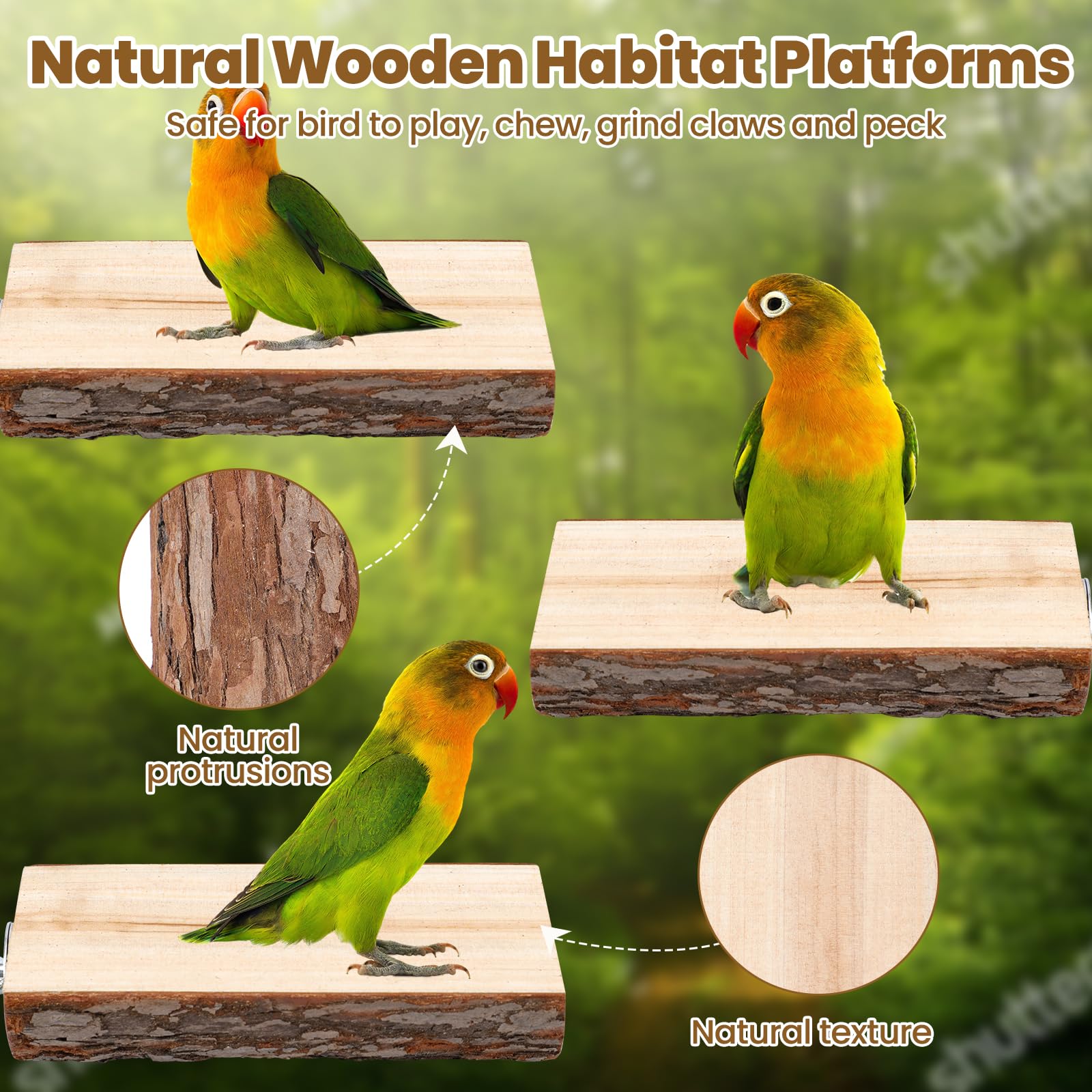 Vogelsitzstangen-Set Mit Kauspielzeug – Naturholz, Für Sittiche, Nymphensittiche & Kleine Vögel