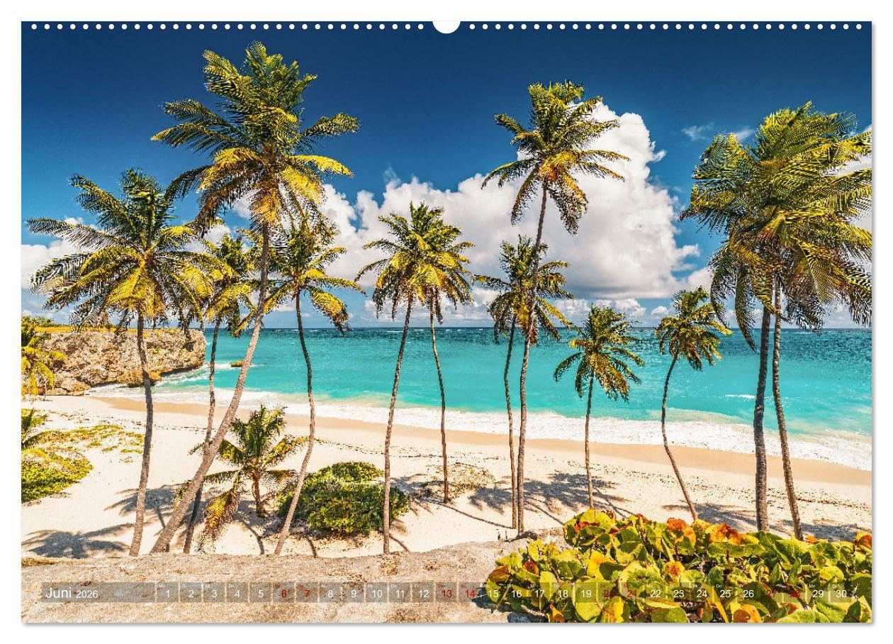 Karibik - Traumstrände (Wandkalender 2026 DIN A2 quer), CALVENDO Monatskalender: Sonne, Meer und karibische Traumstrände (CALVENDO Natur)