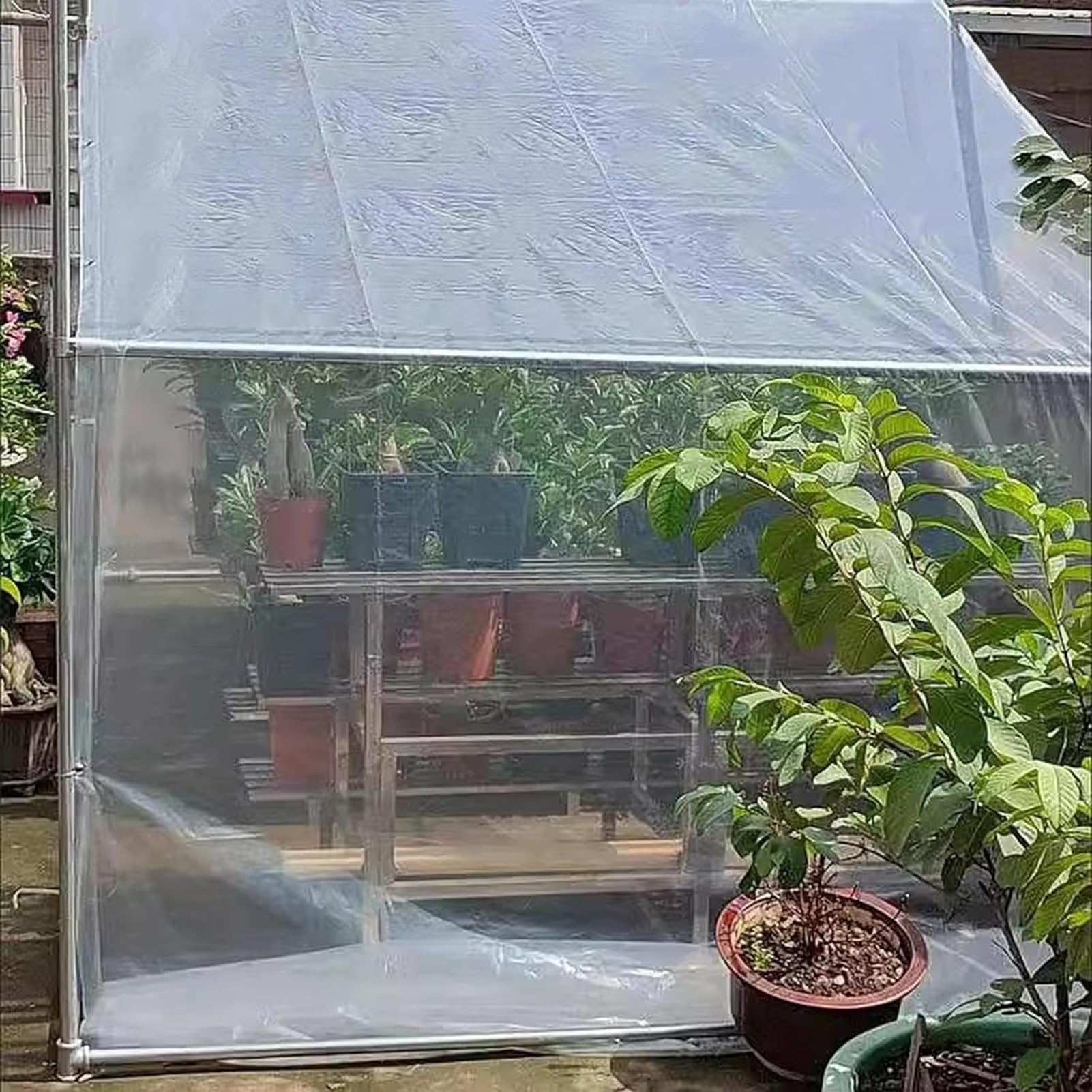 Cortina de Lona Transparente para Exteriores, Cubiertas de Pérgola Impermeables, Paneles Laterales de Plástico, para Balcón, Patio, Porche POCHY(2x3m(6.56x9.84ft))