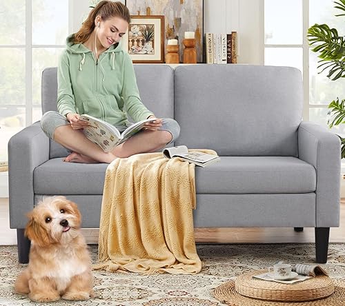 Miniatura 5 de BEEY Sofá biplaza moderno, sofá biplaza pequeño de 53 pulgadas para espacios pequeños, sofá de 2 plazas de tela de lino para sala de estar y