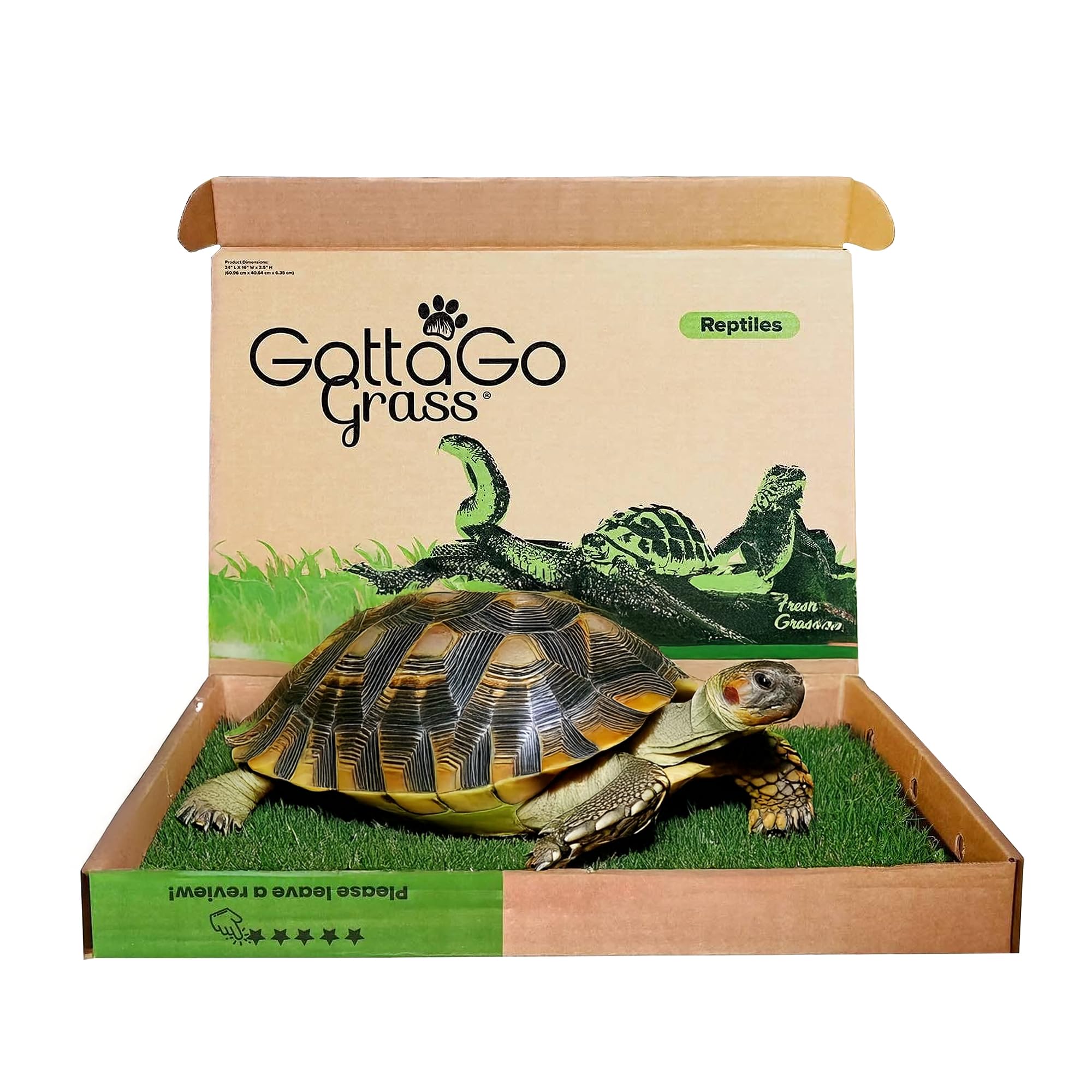 Gotta Go Grass for Reptiles - Natural Grass Bedding Mat & Resting Pad, Real Lawn Patch for Tortoises, Lizards, Snakes and Amphibians, Safe & Absorbent Reptile Substrate, 16