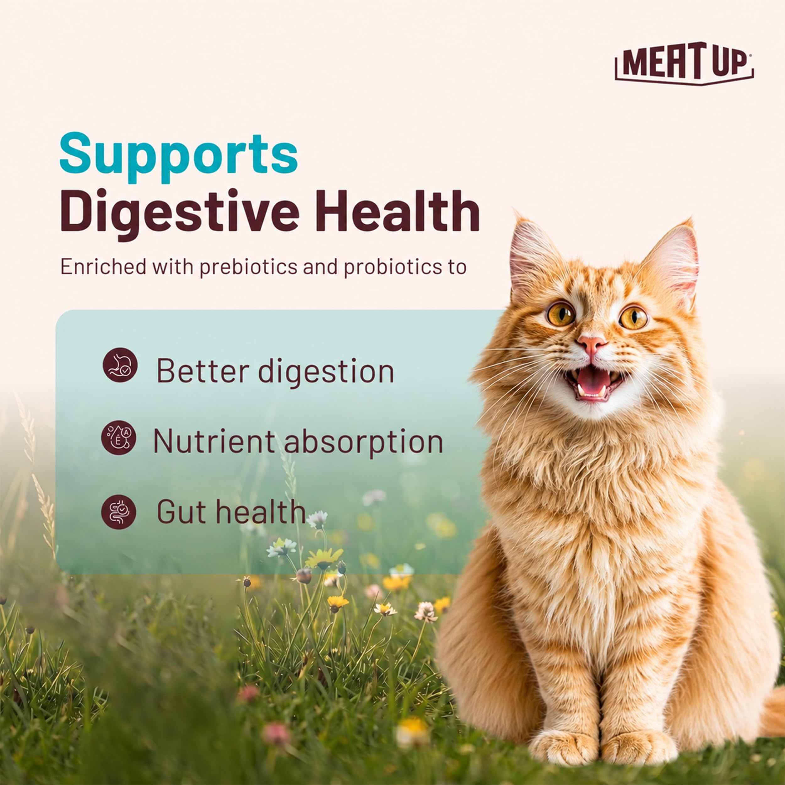 Meat Up Adult Dry Cat Food (2 x 1.2Kg), Total 2.4Kg | Tuna & Salmon Flavour | Supports Urinary pH Balance | Reduces Hairball Formation | Promotes Skin & Coat Health | Taurine for Cardiac Support 1