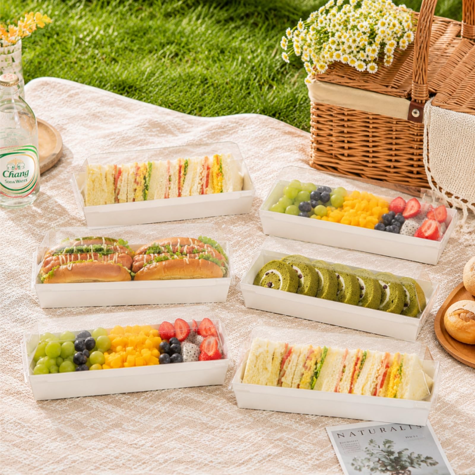 Dicunoy Paquete de 100 cajas de sándwich con tapas transparentes, cajas de papel para alimentos, bandeja rectangular para alimentos para sushi, pastel suizo, sándwich, galletas, frutas, bombas de