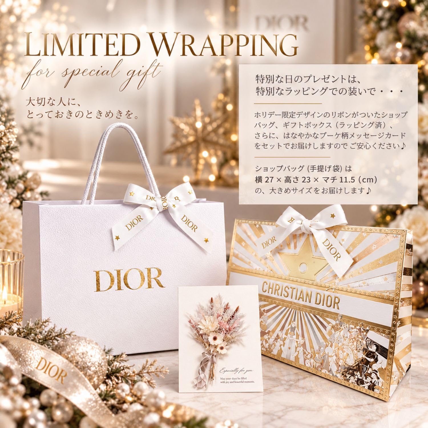 Amazon.co.jp: 【国内正規品】DIOR ディオール ホリデーオファー