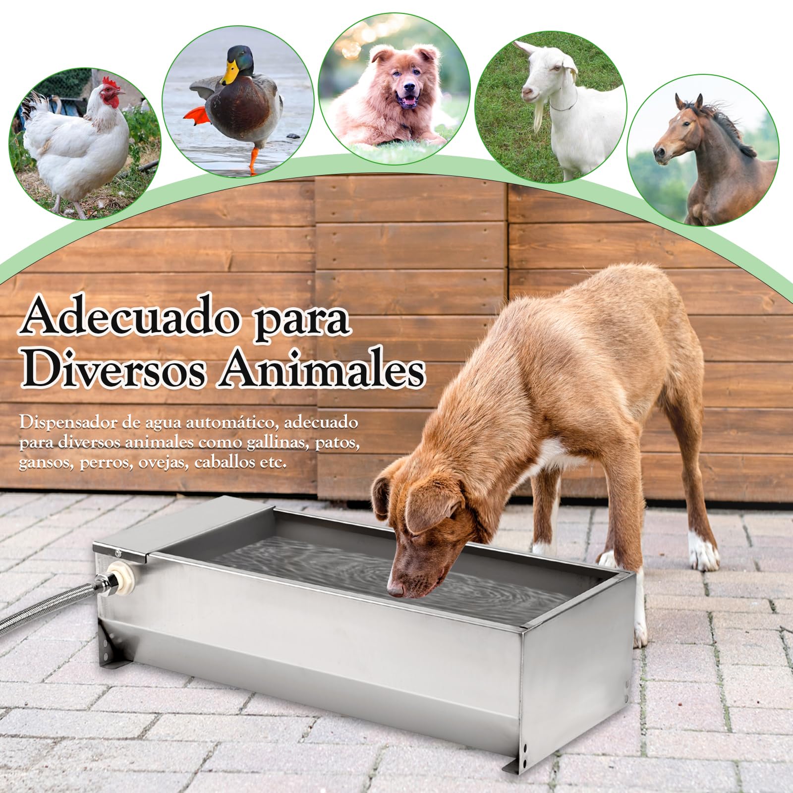 Bebederos Automáticos para Ganado, Caballos, Ovejas, Perros y Aves - Con Válvula de Flotador de 1/2 Pulgada - Gran Capacidad para Cabras y Otros Animales