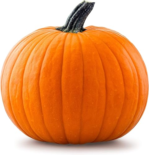 20 semillas de calabaza Big Max para plantar, semillas de verduras de primera calidad cultivadas en Estados Unidos sin OMG cultivadas en EE. UU.