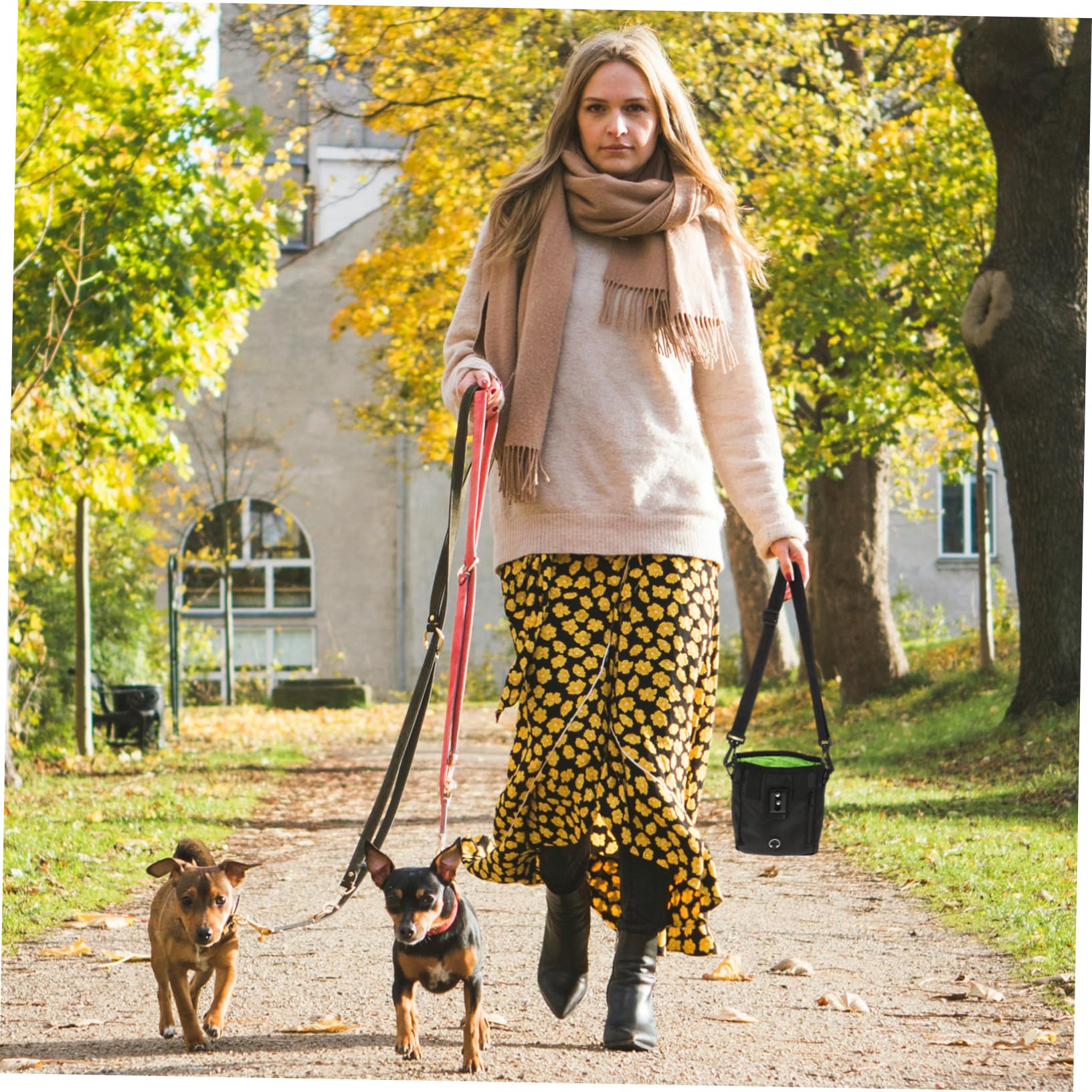 ibasenice wasserdichte Trainings Tasche für Hunde mit Klicker und Pfeife Praktische Bauchtasche für Leckerlis für Camping und Hundetraining im Freien