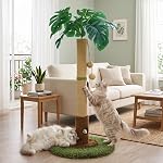 Woochpet Poste d'échafaudage pour chats et chatons d'intérieur - 35.43" Tall Cat Scratching Post avec corde sisale,Palm Tree Cat Scratch Post avec boule suspendue