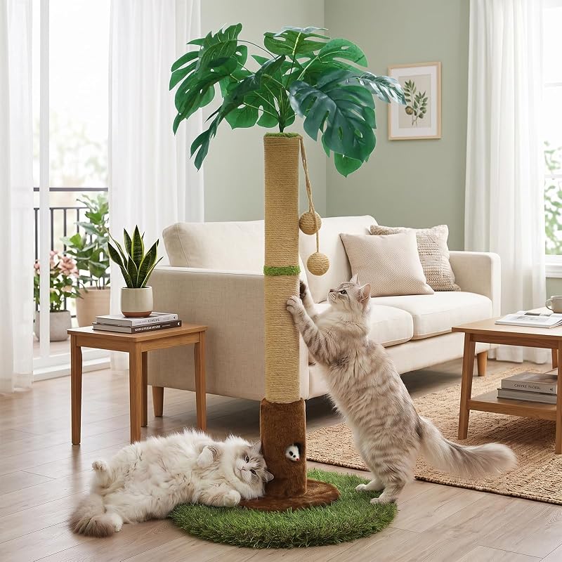 Cat Scratching Post for Indoor Cats and Kitten - 35.43" Tall Cat Scratching Post with Sisal Rope,Palm Tree Cat Scratch Post with Hanging Ball | Scratching Post for Indoor Cats and Kitten,cat scratch post with cat toys