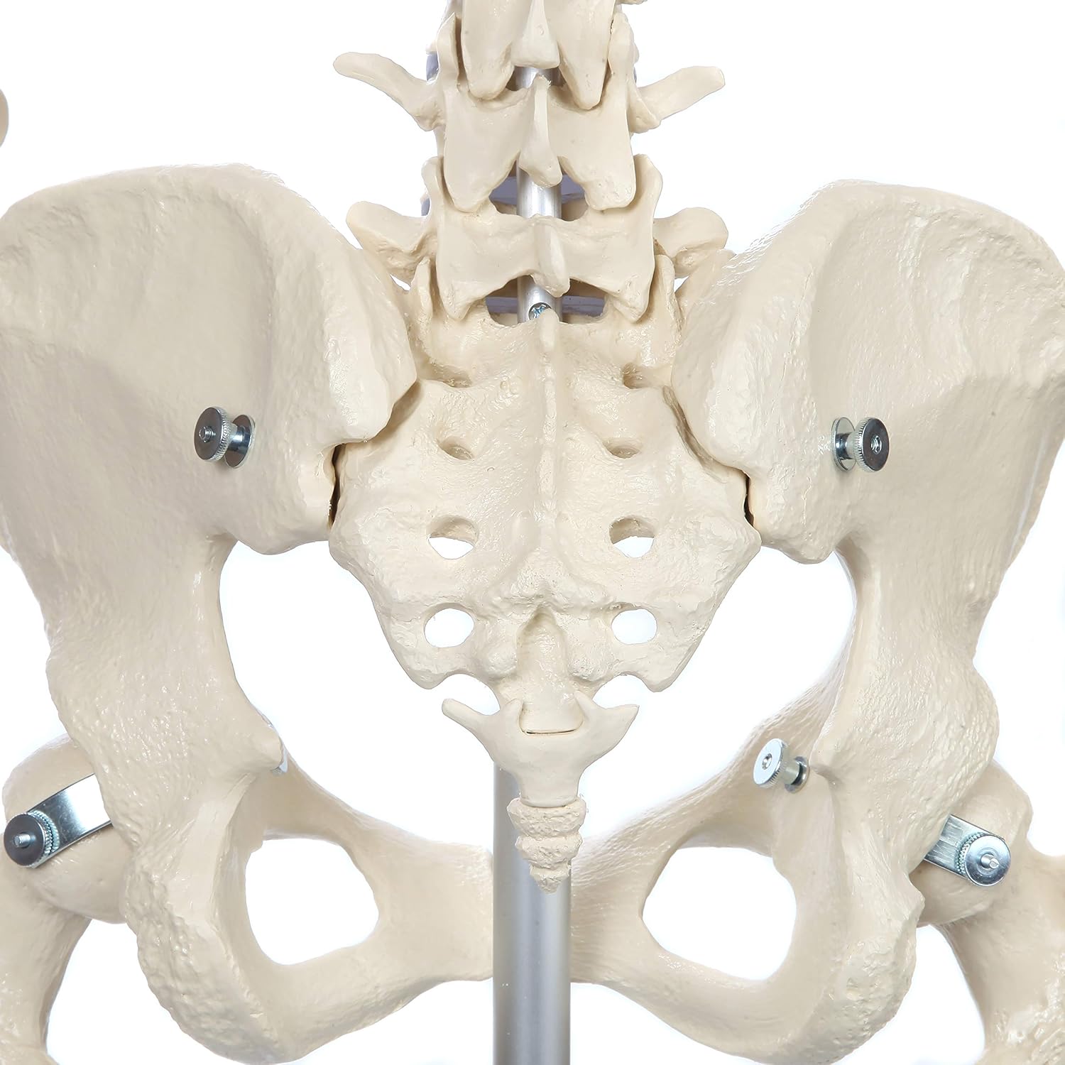 Retro fisting rasmlar Porno qiz mushukni tozalaydi