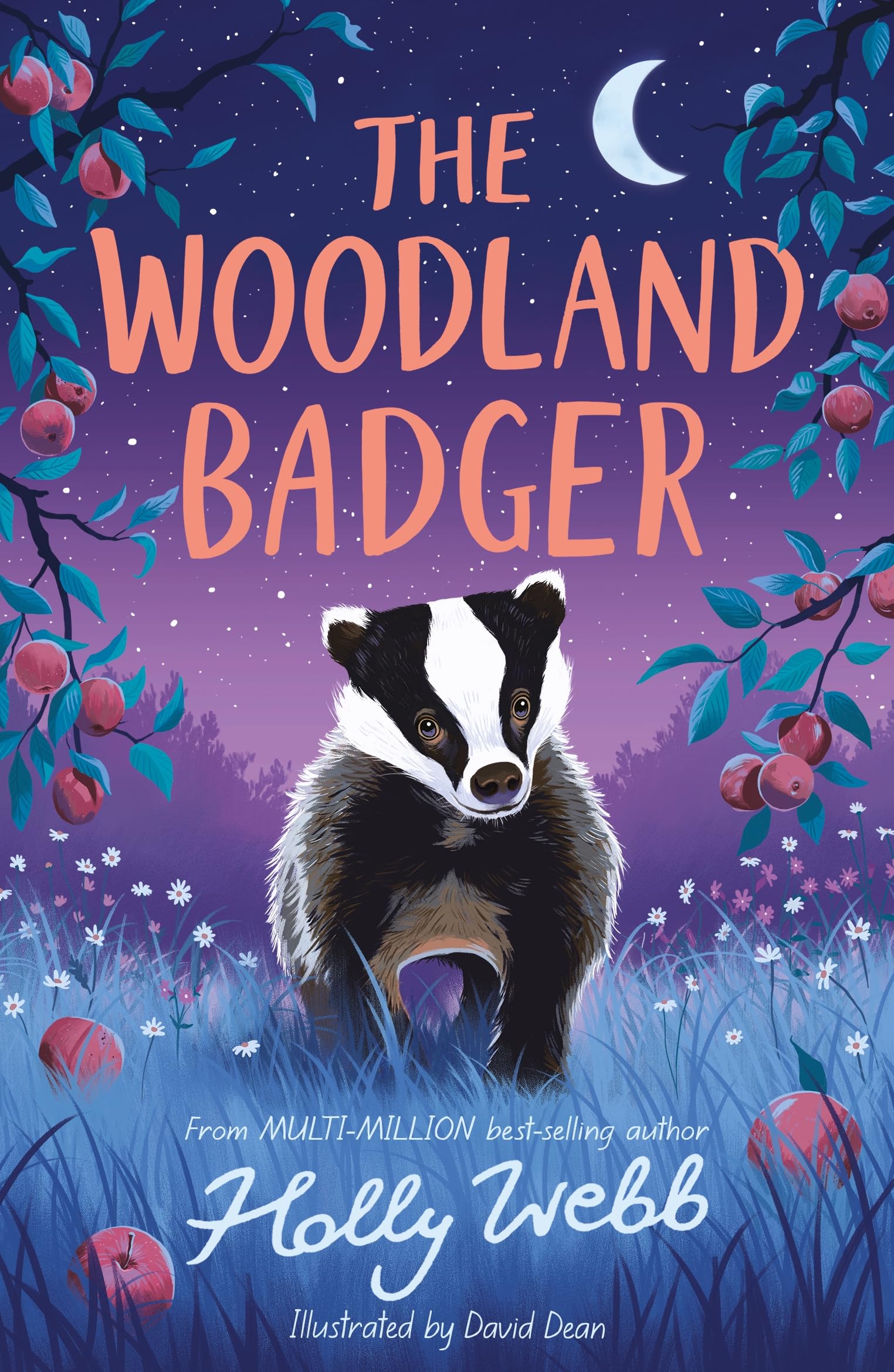 The Woodland Badger (Summer Wildlife Stories, 6)