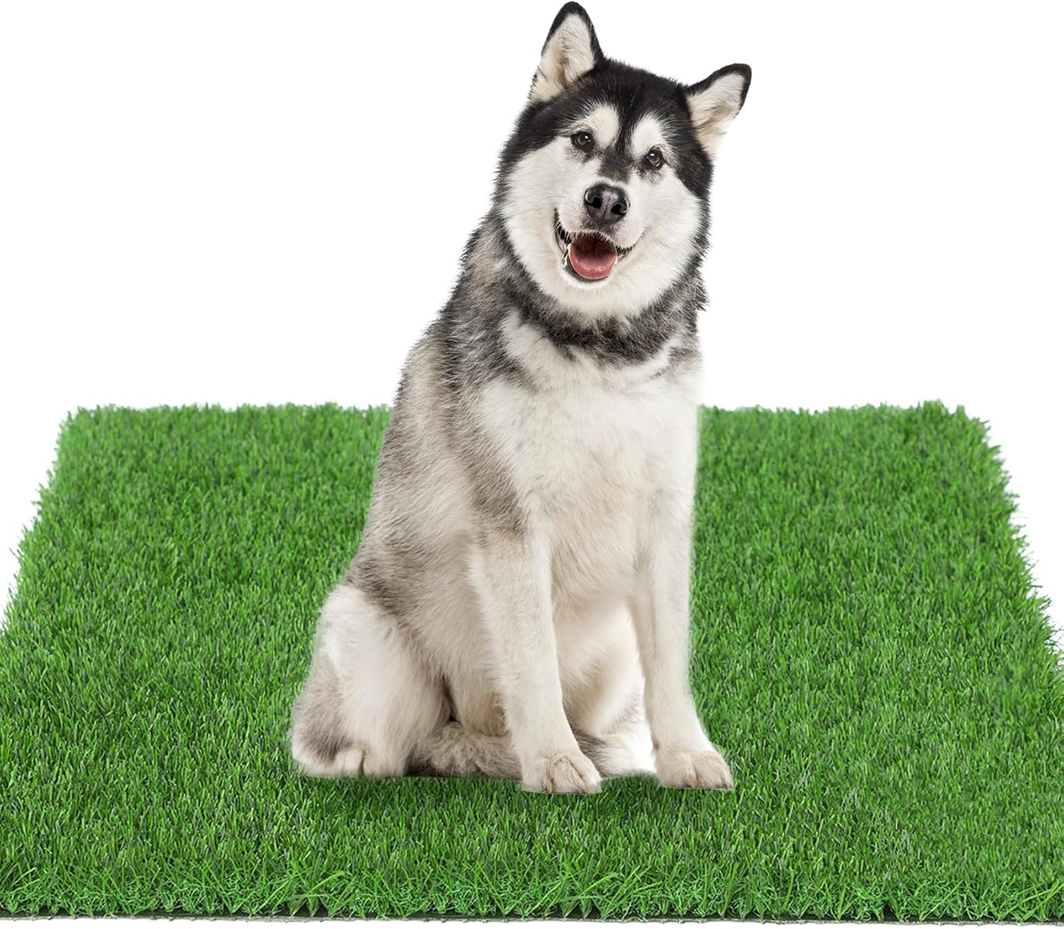 GLOBREEN Dogs Artificial Grass Pee Pad, 51.3" x 31.5" X