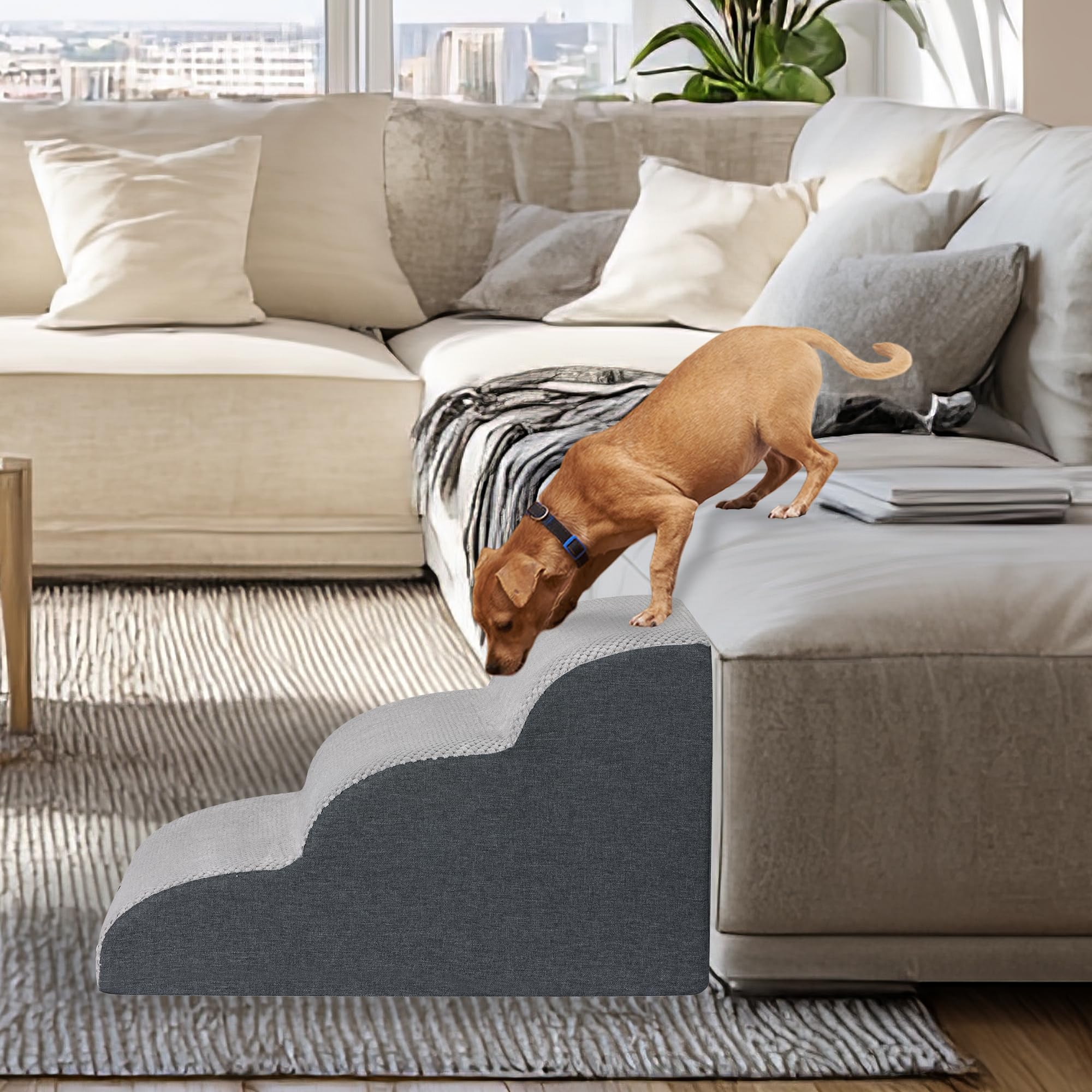 Scaletta per cani di piccola taglia, per divano e letto, in spugna ad alta densità, con copertura rimovibile e lavabile, base antiscivolo