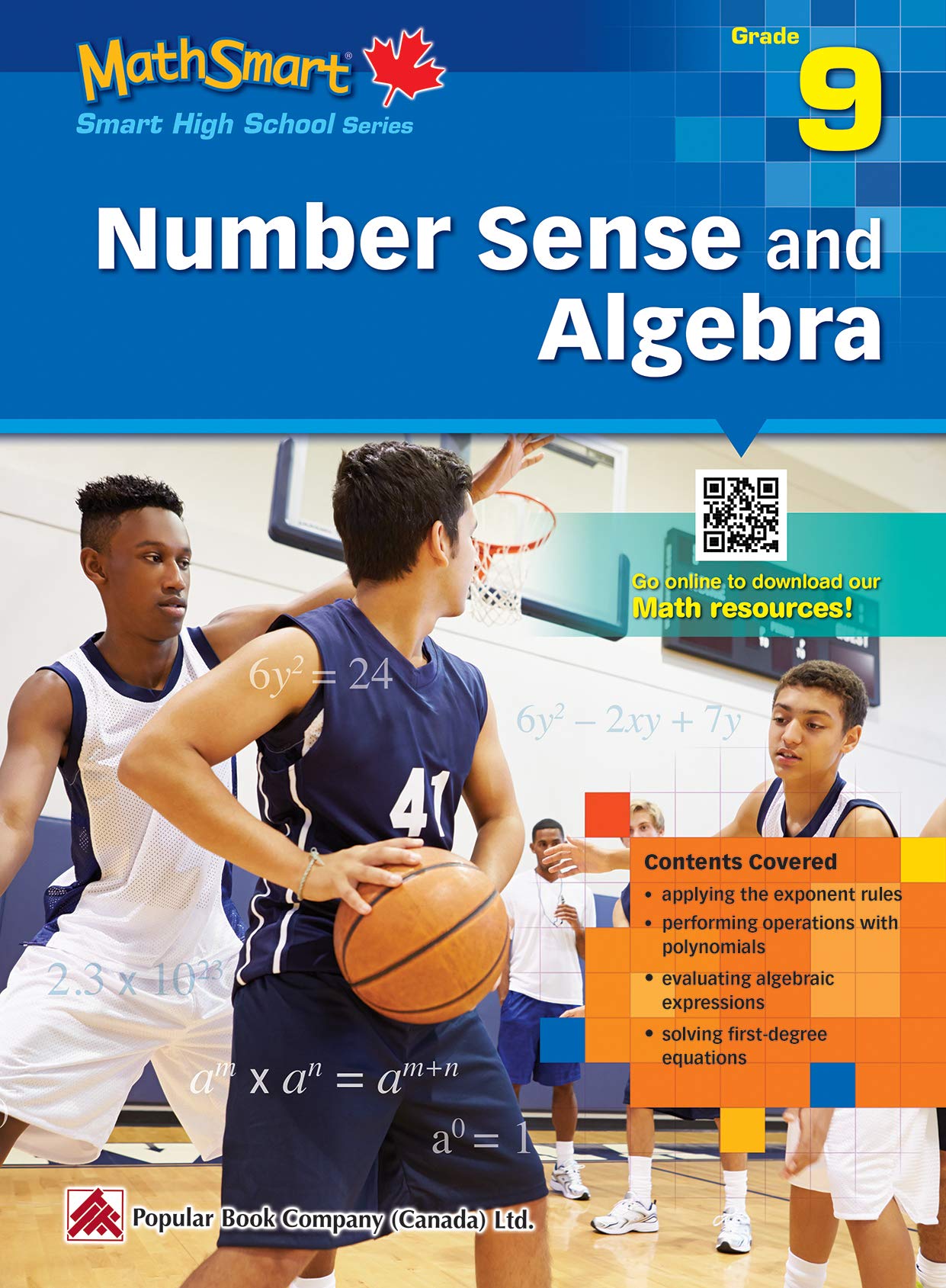 MathSmart Grade 9 - Number Sense and Algebra: Smart High School Series