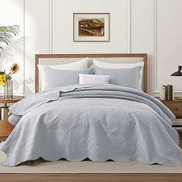 IR Imperial Rooms Twin Quilt Bedding Set Size (68” x 86”) + 1 Pillow Shams (20” x 26” + 2”) - 2 Pcs All Season Lightweight Reversible Microfiber Coverlet Floral Embossed Quilt Bedspread (Silver)