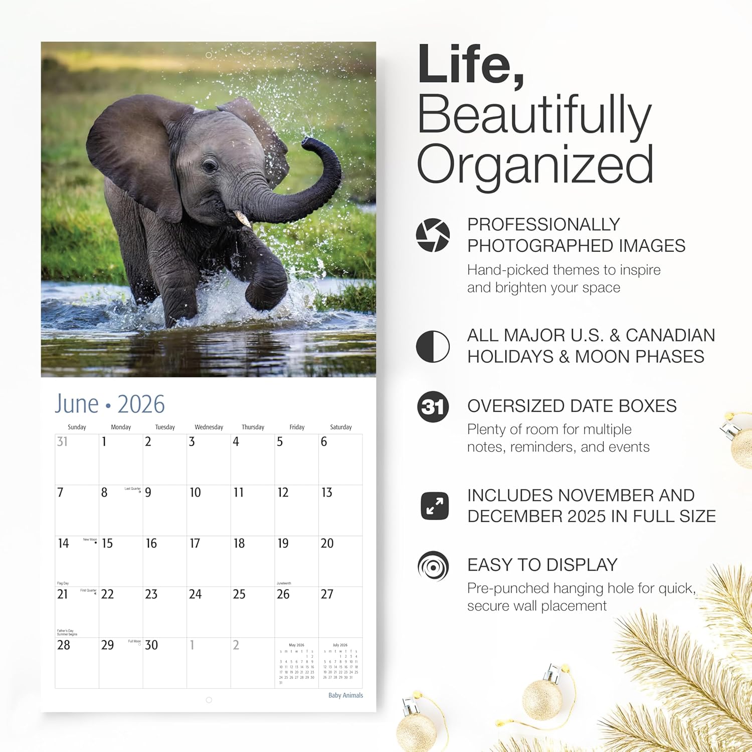 RED EMBER Baby Animals 2026 Wall Calendar 12 Month | 12” x 24” Open | Thick & Sturdy Paper | Holiday Gift | Wild Cute Kids Baby Animals Calendar 2026 - Image 2