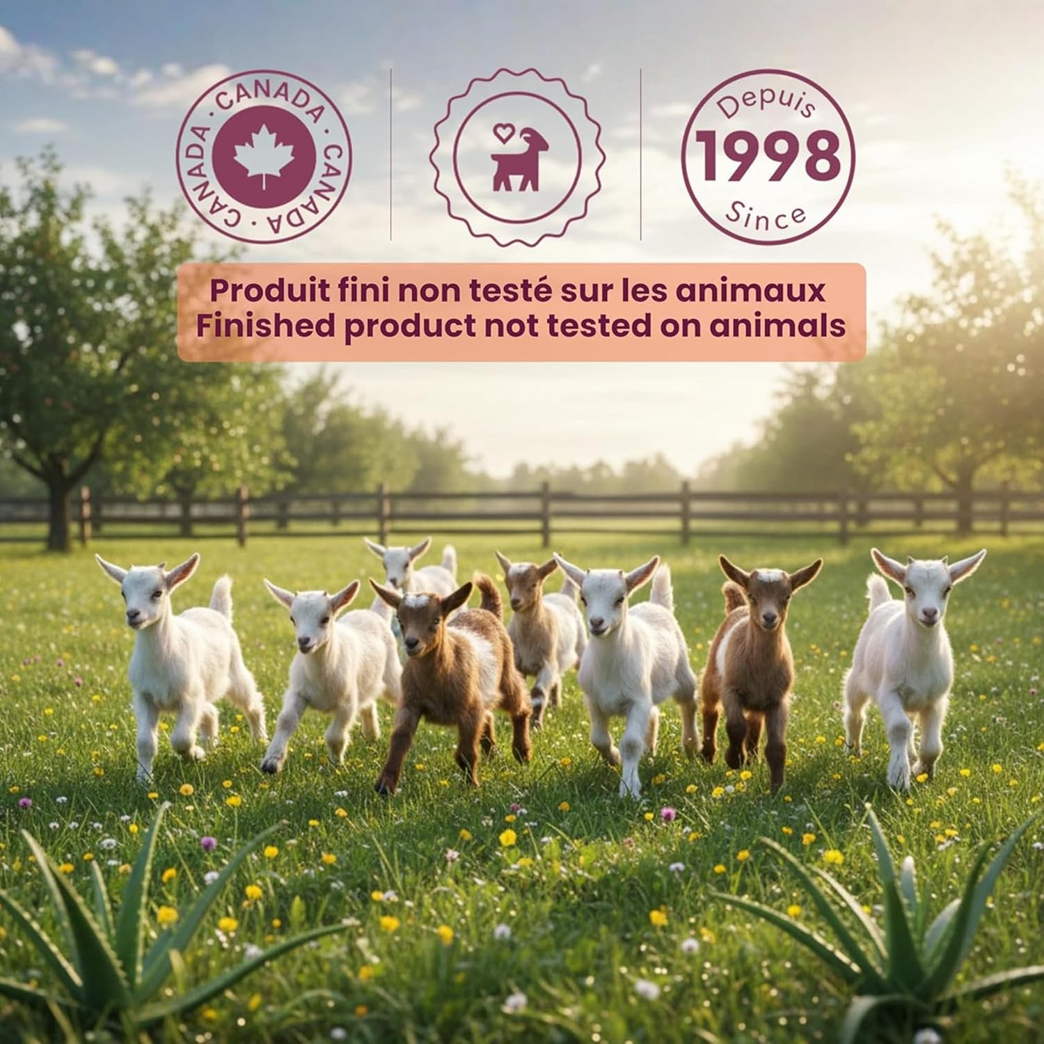 Caprina Liquid Hand Soap Refill, Fresh Goat’s Milk, 1 L, Original Formula