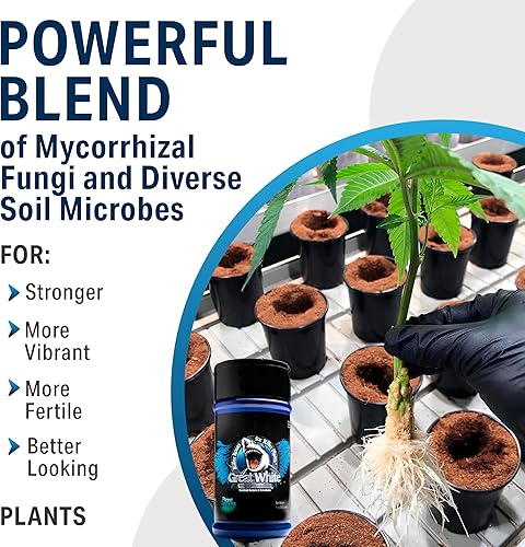 Miniatura 7 de Hongos micorrícicos Great White de 4 oz, bacterias beneficiosas para el crecimiento de plantas, estimulador de raíces, fórmula concentrada 3-en-1 de